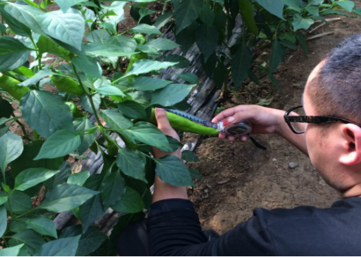 1525659597277195.png blob.png