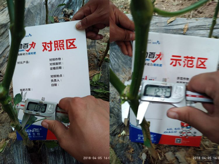 1553134148744880.png 1553134148744880.png