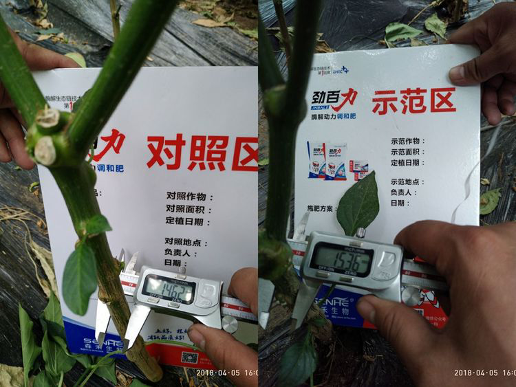 1553134167117580.png 1553134167117580.png