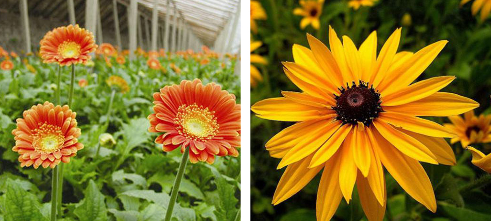 1562053074411598.jpg QQ圖片20190702153704.jpg