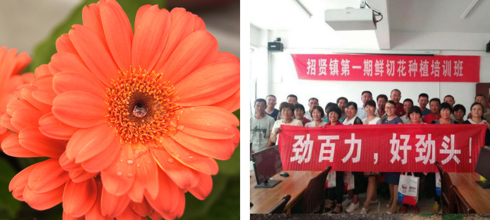 1562053142126681.jpg QQ圖片20190702153715.jpg