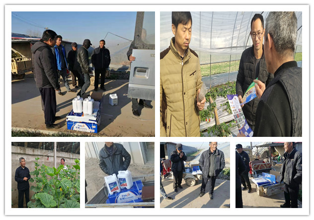 1575535415473769.jpg 33.jpg